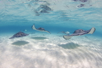 Cayman Islands